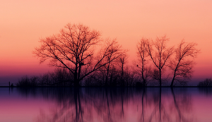 球队前锋球员突破个人得分纪录——从孤胆到传奇的逆袭之路