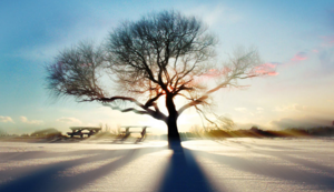 巴黎圣日耳曼取得胜利，一路狂奔晋级半决赛